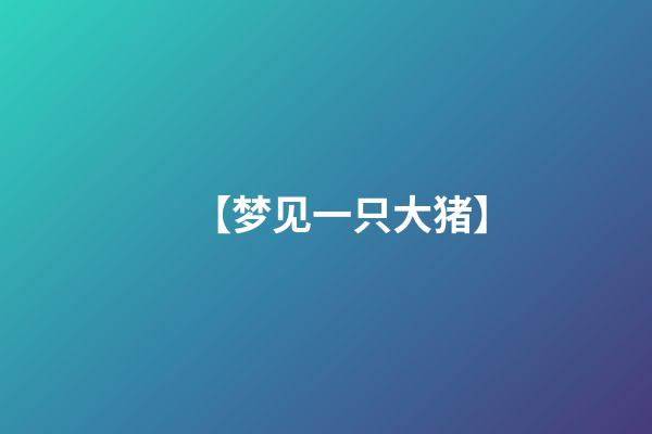 【梦见一只大猪】