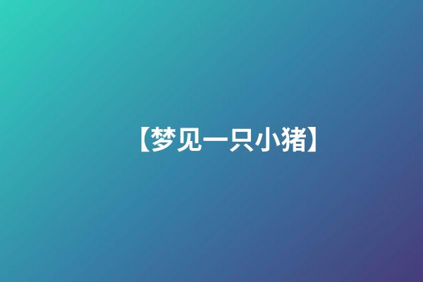【梦见一只小猪】