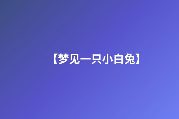 【梦见一只小白兔】