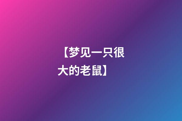 【梦见一只很大的老鼠】