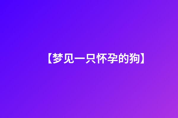 【梦见一只怀孕的狗】