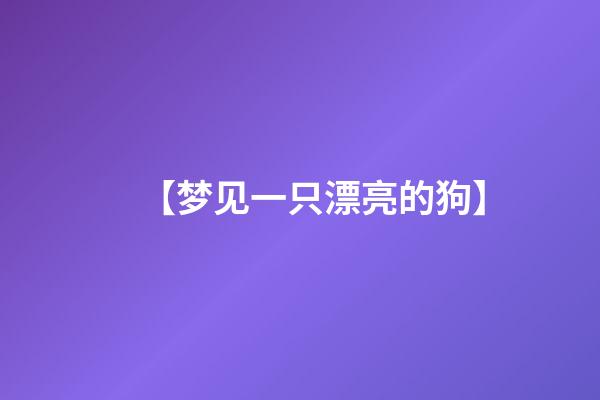 【梦见一只漂亮的狗】