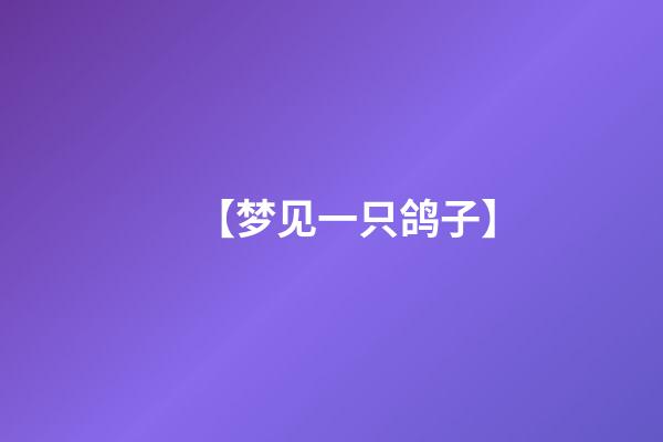 【梦见一只鸽子】