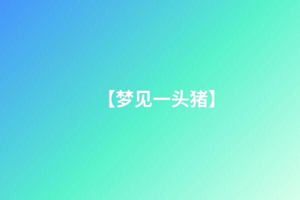 【梦见一头猪】