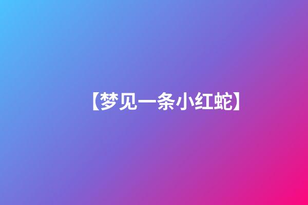【梦见一条小红蛇】