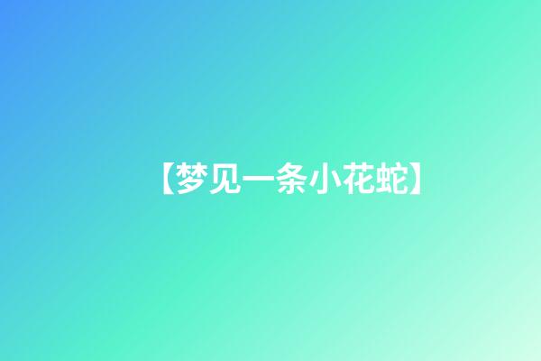 【梦见一条小花蛇】