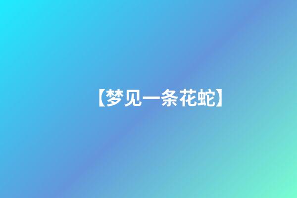 【梦见一条花蛇】