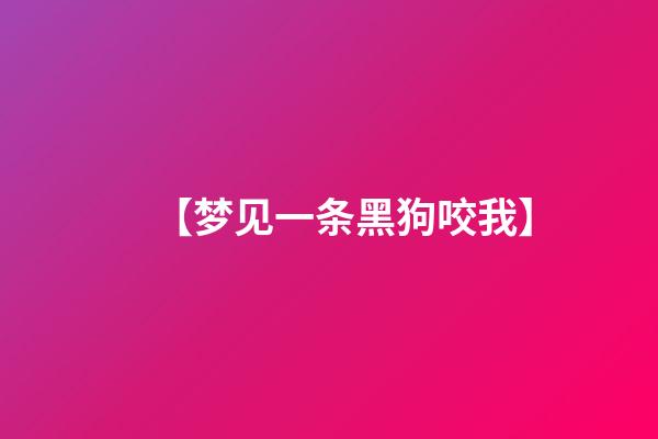 【梦见一条黑狗咬我】