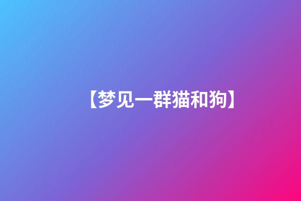 【梦见一群猫和狗】