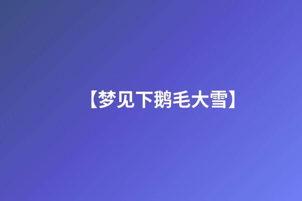 【梦见下鹅毛大雪】