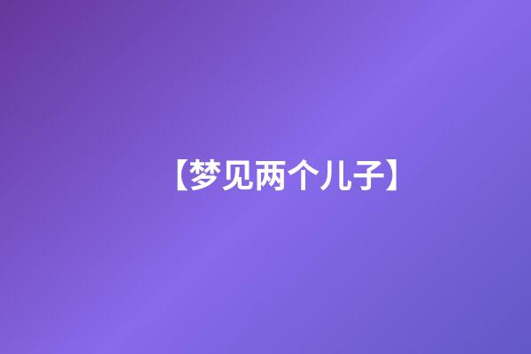 【梦见两个儿子】