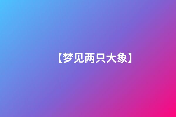 【梦见两只大象】