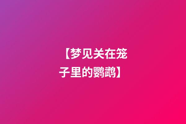 【梦见关在笼子里的鹦鹉】