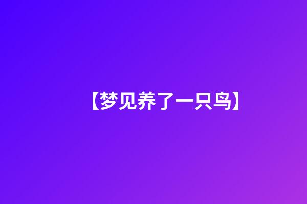 【梦见养了一只鸟】