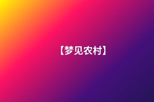 【梦见农村】