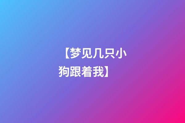 【梦见几只小狗跟着我】