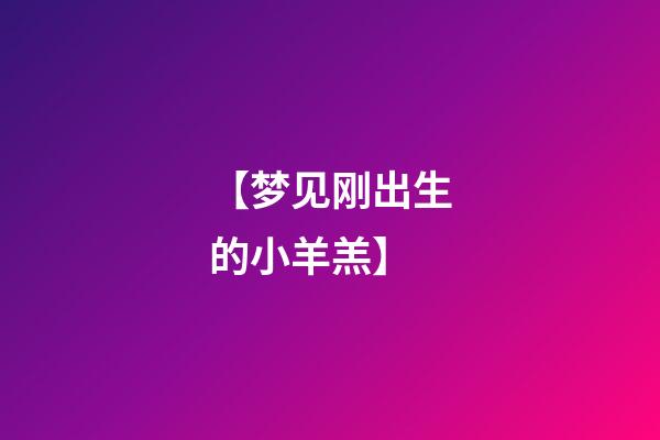 【梦见刚出生的小羊羔】