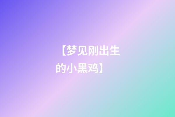 【梦见刚出生的小黑鸡】