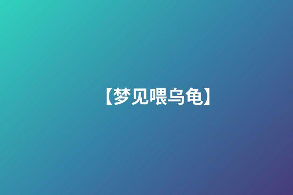 【梦见喂乌龟】