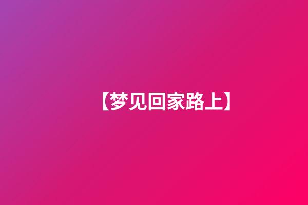 【梦见回家路上】