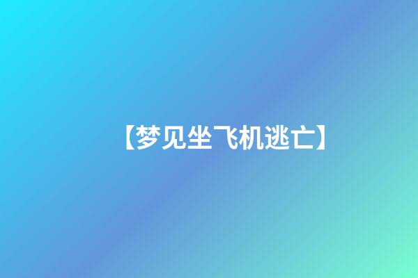 【梦见坐飞机逃亡】
