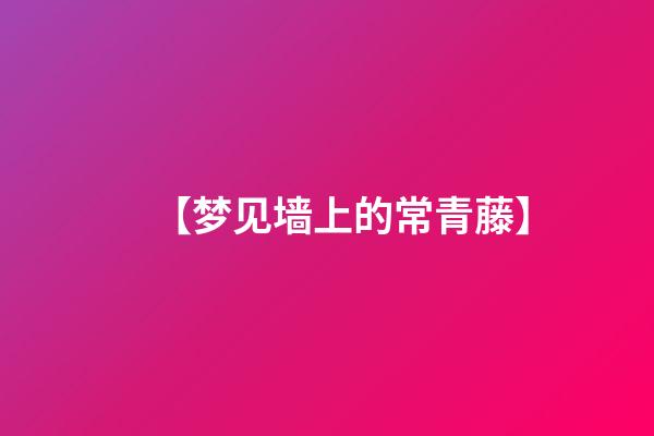 【梦见墙上的常青藤】