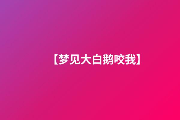 【梦见大白鹅咬我】
