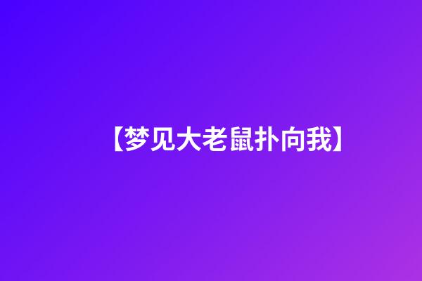 【梦见大老鼠扑向我】