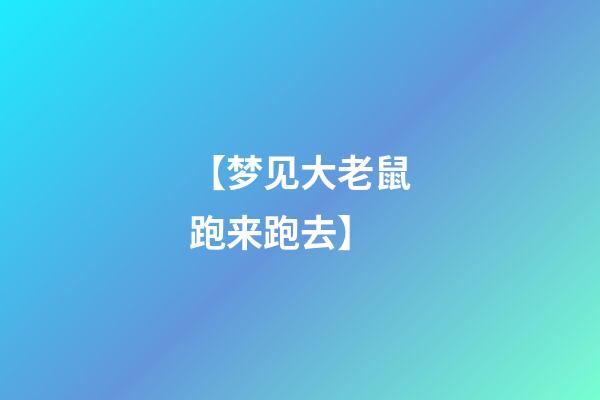 【梦见大老鼠跑来跑去】