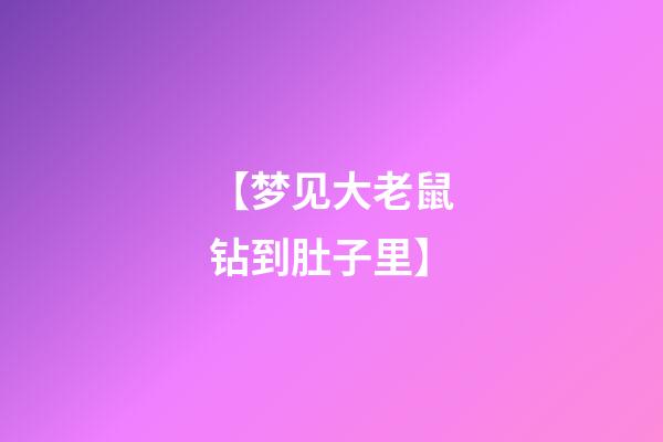 【梦见大老鼠钻到肚子里】