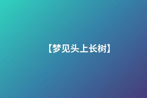 【梦见头上长树】