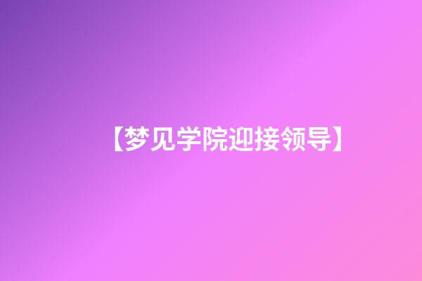【梦见学院迎接领导】
