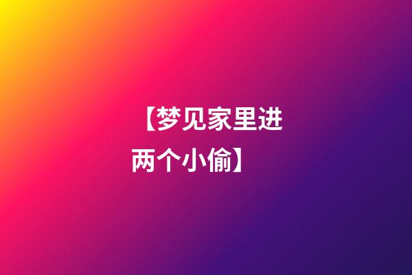 【梦见家里进两个小偷】