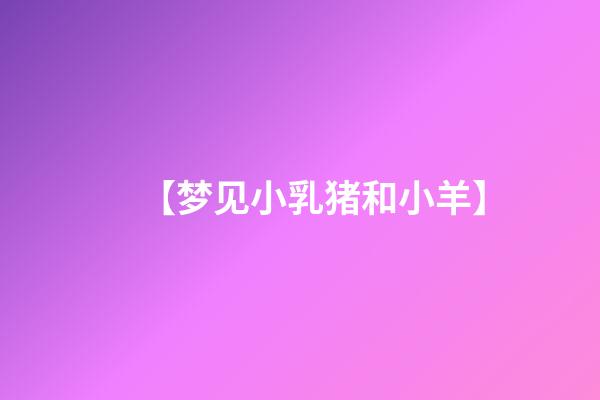 【梦见小乳猪和小羊】