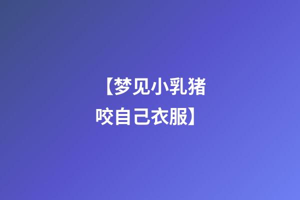 【梦见小乳猪咬自己衣服】