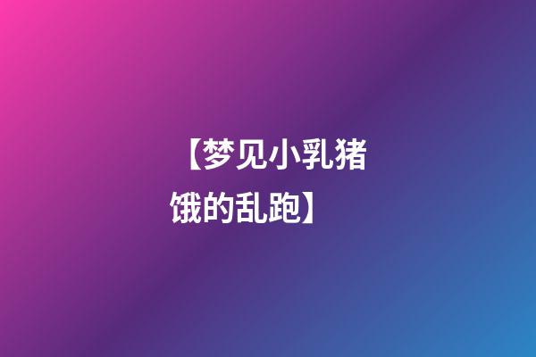 【梦见小乳猪饿的乱跑】
