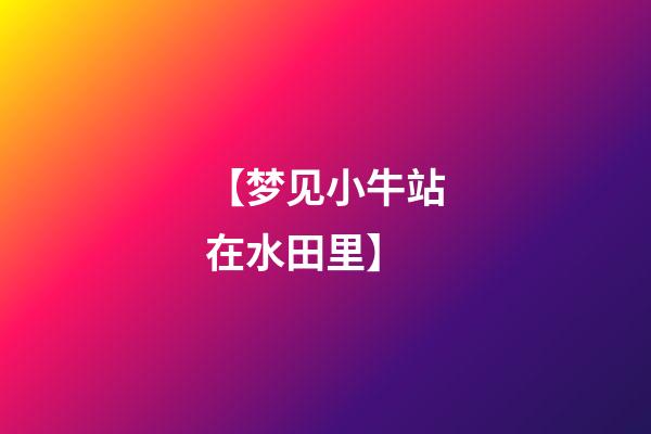 【梦见小牛站在水田里】