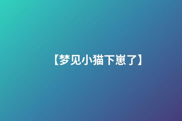 【梦见小猫下崽了】