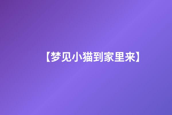 【梦见小猫到家里来】