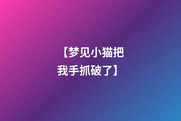 【梦见小猫把我手抓破了】
