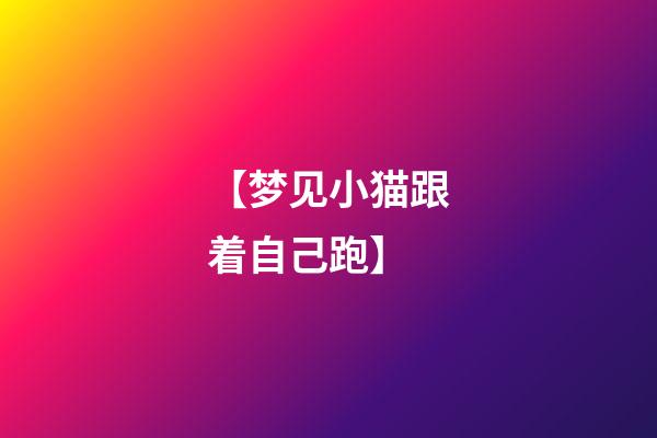 【梦见小猫跟着自己跑】