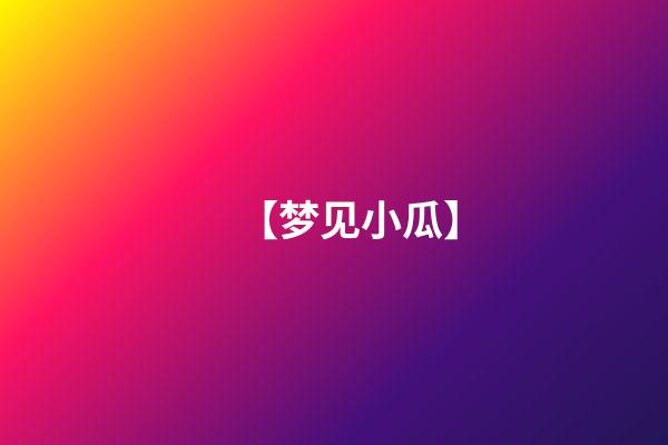 【梦见小瓜】