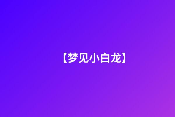 【梦见小白龙】
