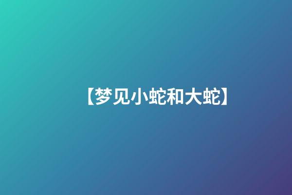 【梦见小蛇和大蛇】