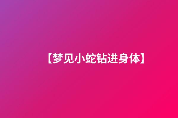 【梦见小蛇钻进身体】