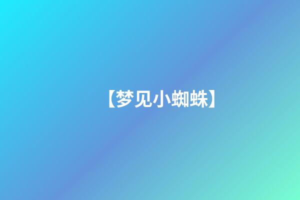 【梦见小蜘蛛】