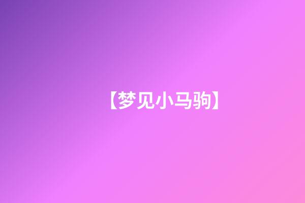 【梦见小马驹】
