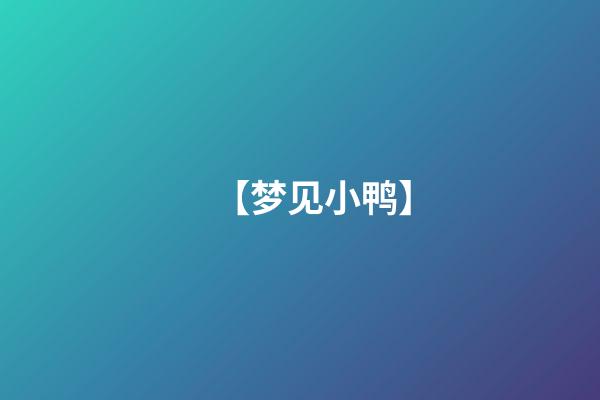 【梦见小鸭】