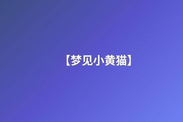 【梦见小黄猫】