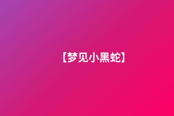 【梦见小黑蛇】